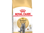 Royal Canin Британская Короткошёрстная 2 кг
