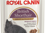 Royal Canin Британская короткошерстная пауч (соус) 0,085 кг