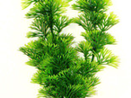 Медоса Иск. растение Перистолистник зеленый, 20 см (AP075C-8)