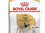 Royal Canin Мопс Эдалт 1,5 кг