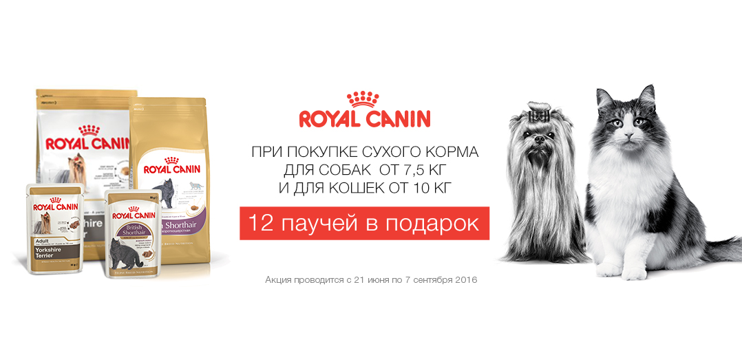 Зубной камень фото, причины, удаление камней на зубах Здесь найдется все!